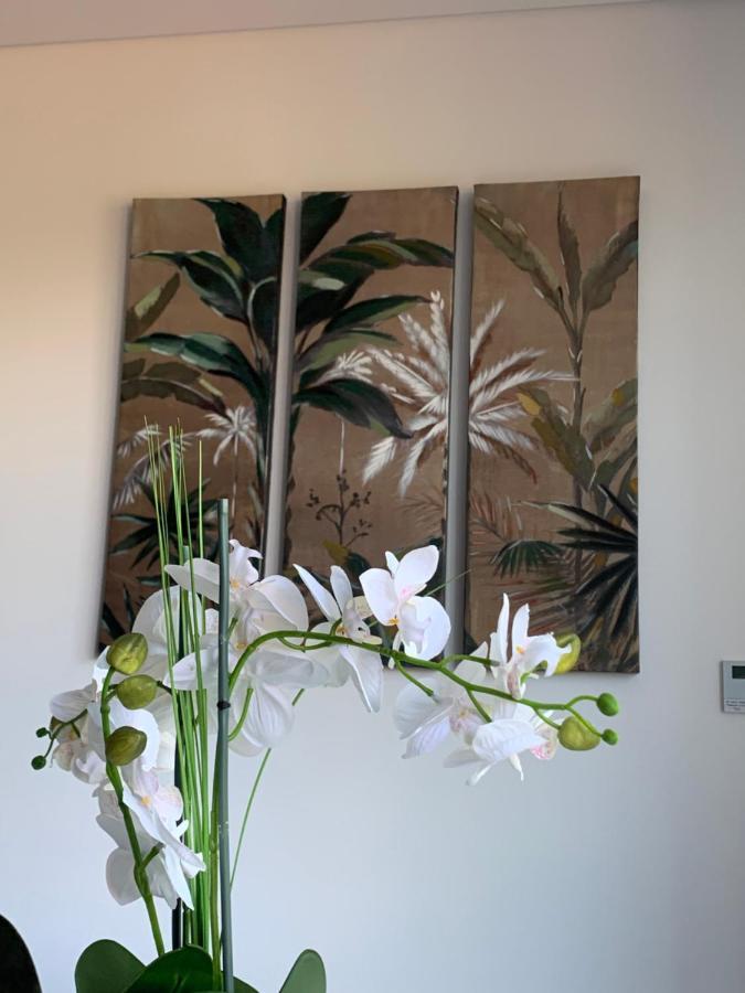 Dcm Lofts Apartment Arcozelo  ภายนอก รูปภาพ